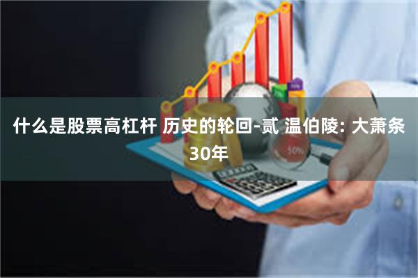 什么是股票高杠杆 历史的轮回-贰 温伯陵: 大萧条30年