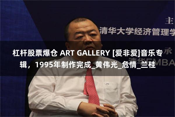杠杆股票爆仓 ART GALLERY [爱非爱]音乐专辑，1995年制作完成_黄伟光_危情_兰桂