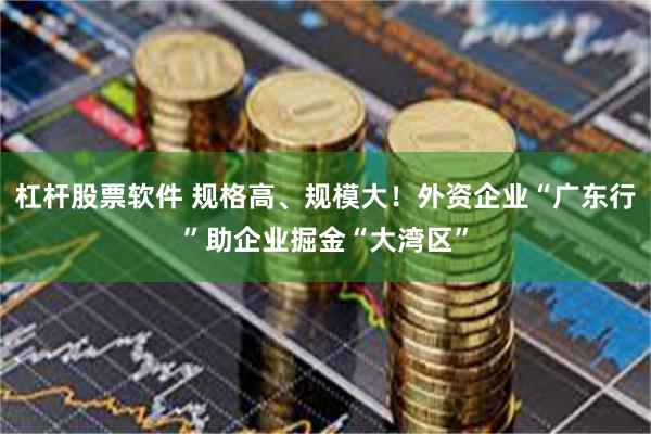 杠杆股票软件 规格高、规模大！外资企业“广东行”助企业掘金“大湾区”