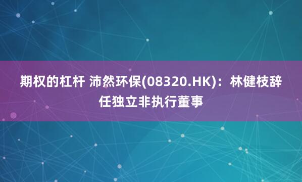 期权的杠杆 沛然环保(08320.HK)：林健枝辞任独立非执行董事