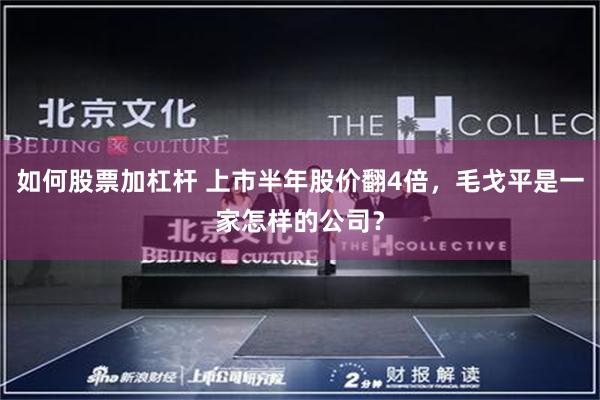 如何股票加杠杆 上市半年股价翻4倍，毛戈平是一家怎样的公司？