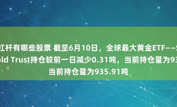 杠杆有哪些股票 截至6月10日，全球最大黄金ETF——SPDR Gold Trust持仓较前一日减少0.31吨，当前持仓量为935.91吨