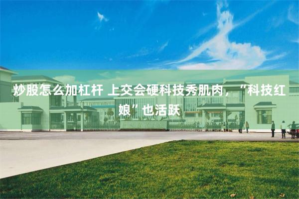 炒股怎么加杠杆 上交会硬科技秀肌肉，“科技红娘”也活跃