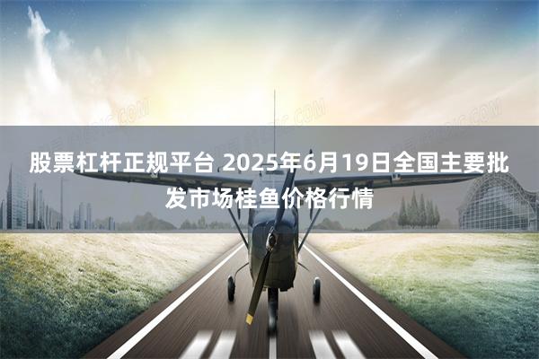 股票杠杆正规平台 2025年6月19日全国主要批发市场桂鱼价格行情