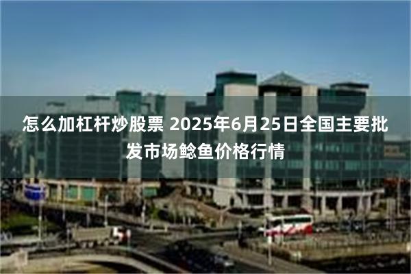 怎么加杠杆炒股票 2025年6月25日全国主要批发市场鲶鱼价格行情