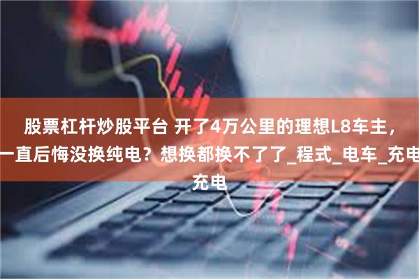 股票杠杆炒股平台 开了4万公里的理想L8车主，一直后悔没换纯电？想换都换不了了_程式_电车_充电