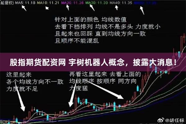 股指期货配资网 宇树机器人概念，披露大消息！