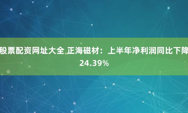 股票配资网址大全 正海磁材：上半年净利润同比下降24.39%