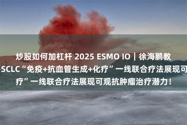炒股如何加杠杆 2025 ESMO IO｜徐海鹏教授：初显锋芒，ES-SCLC“免疫+抗血管生成+化疗”一线联合疗法展现可观抗肿瘤治疗潜力！